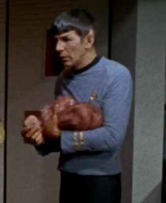 schumisnoopy's tweet photo. spock with tribbles sunday https://t.co/qIqVSGoKqT