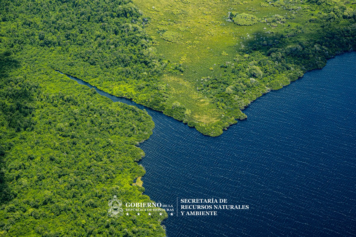 sernaHN's tweet photo. 🌿 Comunidades de La Mosquitia fortalecen su adaptación al cambio climático con el lanzamiento del Programa Pueblos Originarios en Adaptación.

Las organizaciones ejecutoras, junto a la Secretaría de Recursos Naturales y Ambiente (SERNA), lanzaron la convocatoria del Programa Pueblos Originarios en Adaptación, una iniciativa que permitirá a organizaciones, comunidades y actores locales de Brus Laguna y Juan Francisco Bulnes presentar proyectos para fortalecer la adaptación al cambio climático desde el territorio.

Durante el evento se presentaron los objetivos, alcances y mecanismos de postulación del programa, promoviendo una participación informada, inclusiva y con pertinencia cultural, en estrecha coordinación con los pueblos indígenas y afrodescendientes de La Mosquitia.

Esta iniciativa representa un paso importante para fortalecer los medios de vida, proteger los recursos naturales y construir comunidades más preparadas frente a los desafíos del cambio climático.