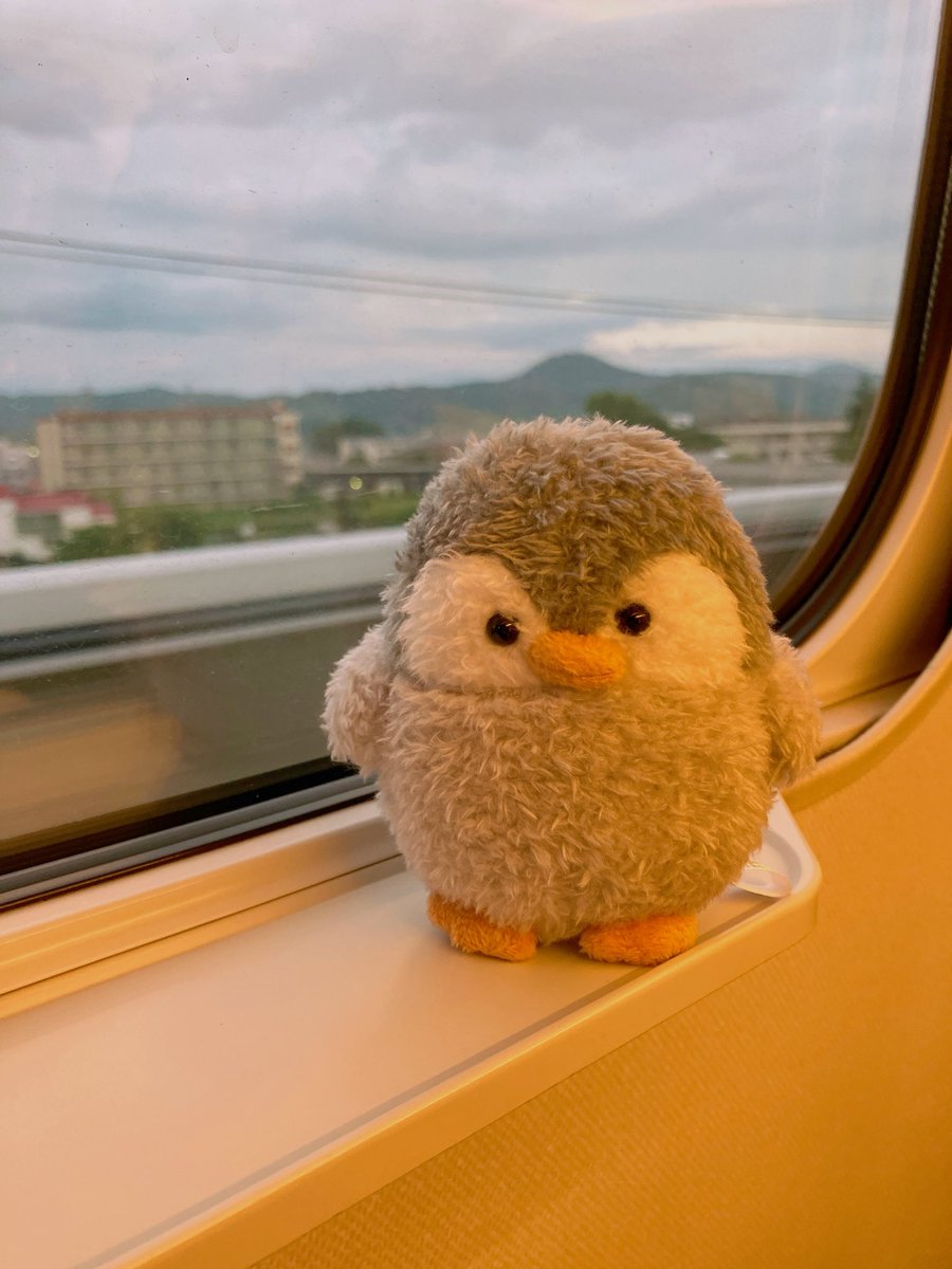 Pentahapenguin's tweet photo. 新幹線のった https://t.co/ZbWpDdt9BP