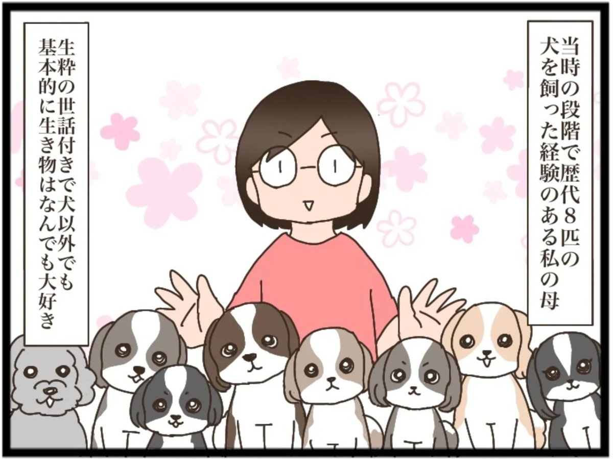 マンガ連載】ねこねこネットワーク（NNN）にロックオンされています