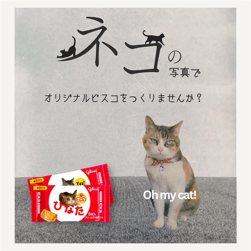 GlicoPRJP's tweet photo. 大切な家族🐱を
オリジナルのビスコにしませんか？

🍪🍪🍪🍪🍪🍪
  【スマイルビスコ】で
🍪🍪🍪🍪🍪🍪

楽しくカンタンにつくれちゃう！