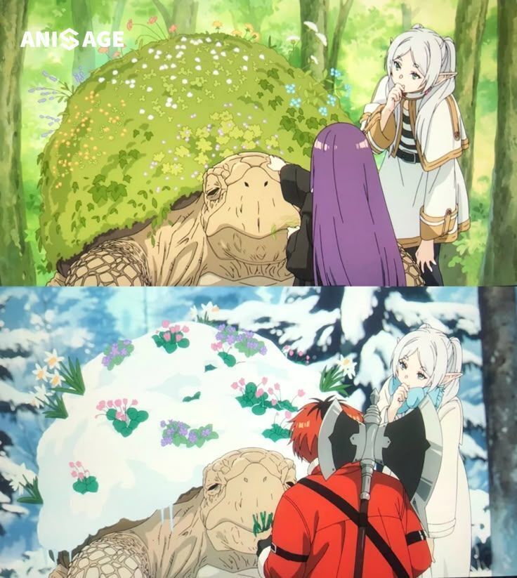 anime_'s tweet photo. Same moment but different journeys https://t.co/fzXCS0dmM7