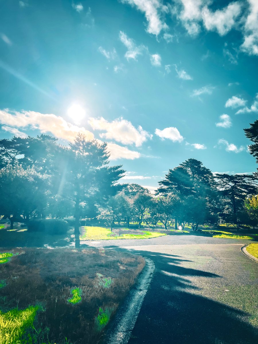imotinc's tweet photo. おはようございます！本日の大分県は晴れ☀️
今朝も気持ちのいい天気です😊
朝の散歩中に草木がだいぶ生い茂っているなーとか季節を感じてます🍃
今日も笑顔で過ごしましょう🏄‍♂️
#企業公式が毎朝地元の天気を言い合う
#企業公式相互フォロー
#企業公式夏のフォロー祭り https://t.co/G3FNvLvc10