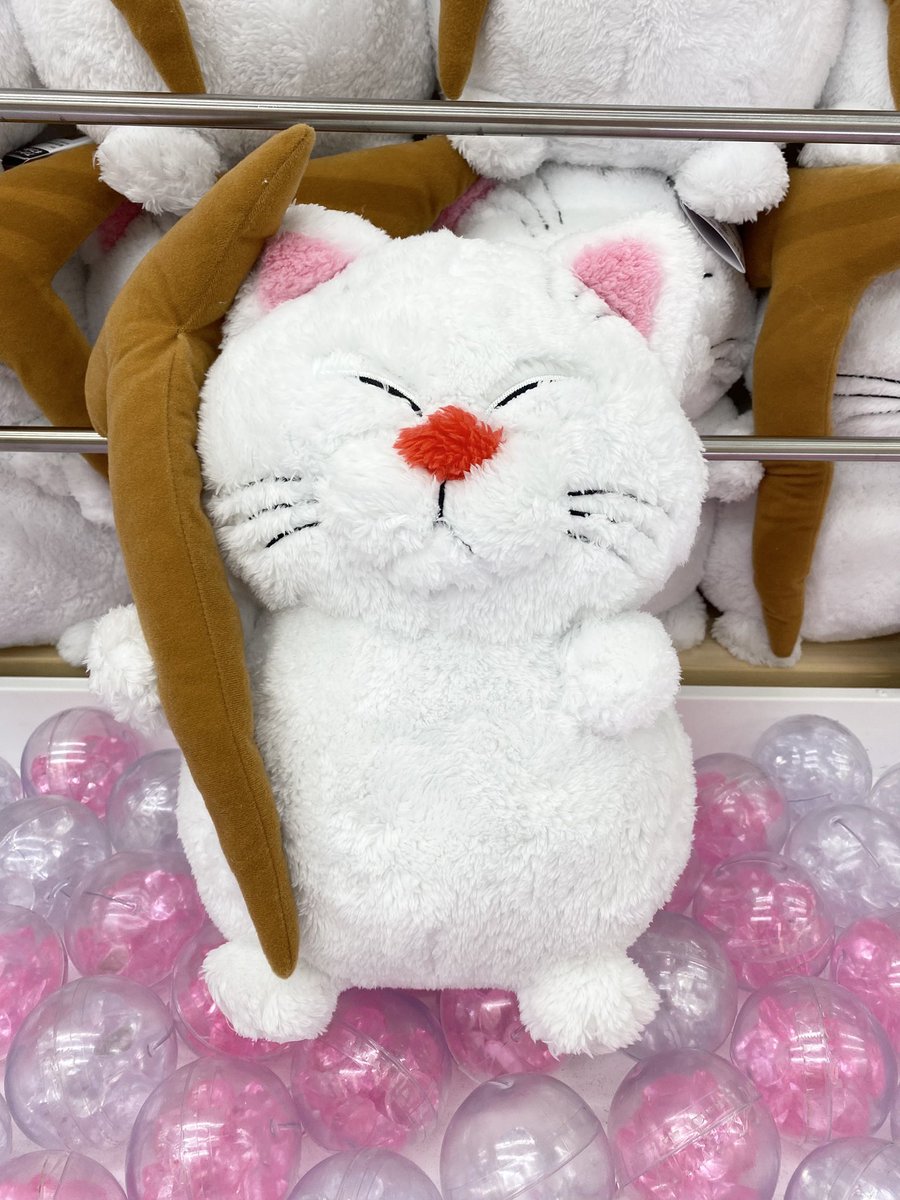 🐱新景品入荷情報🫛 『ドラゴンボール超 めちゃもふぐっと ほっこり