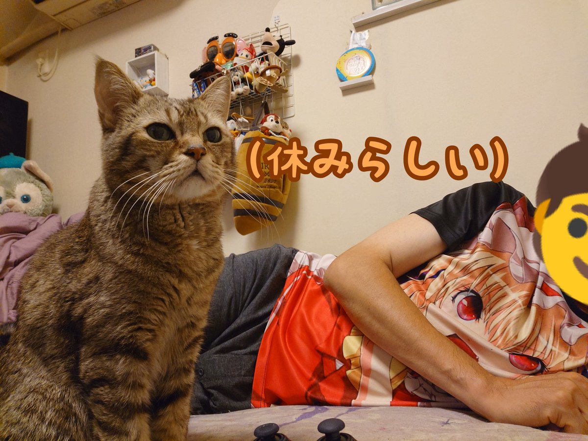ganbare_0618's tweet photo. 急に寄ってくる様になった🥰なんで？ https://t.co/Ijk5pom1Xh