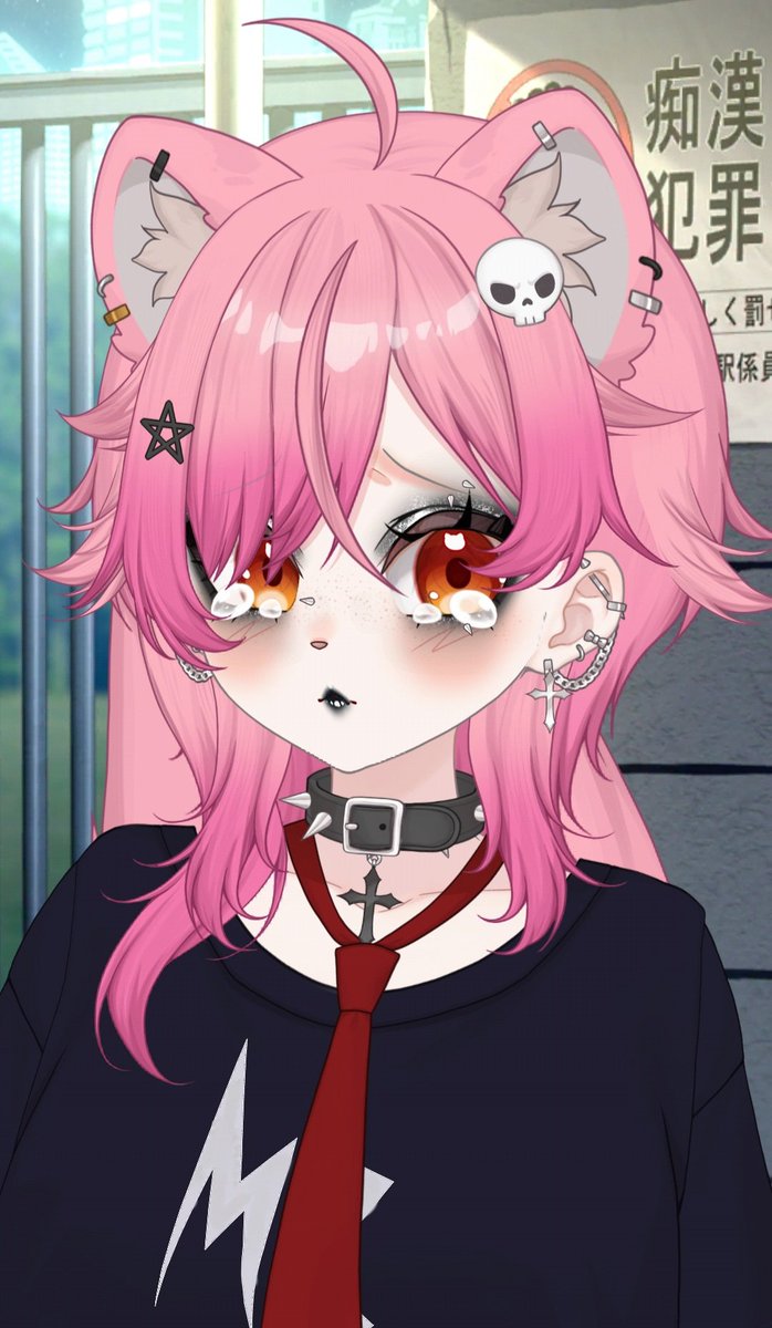 Misha Bousou 🍖🏎️ Hyena vtuber tweet media