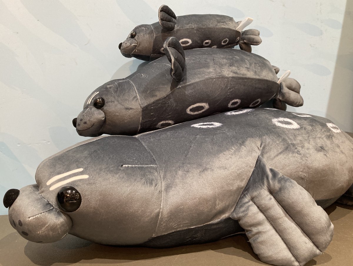 AsamushiAqua's tweet photo. 大人気ハズレなし1000円くじにゼニガタアザラシが登場!！
浅虫水族館でしか手に入らない限定くじとなっております☆彡

□ｾﾞﾆｶﾞﾀｱｻﾞﾗｼくじ １回1,000円

#浅虫水族館 #浅虫水族館売店 https://t.co/MSbxJKXwP8