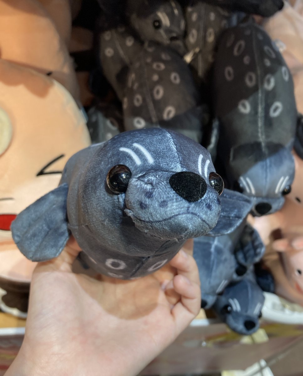 AsamushiAqua's tweet photo. 大人気ハズレなし1000円くじにゼニガタアザラシが登場!！
浅虫水族館でしか手に入らない限定くじとなっております☆彡

□ｾﾞﾆｶﾞﾀｱｻﾞﾗｼくじ １回1,000円

#浅虫水族館 #浅虫水族館売店 https://t.co/MSbxJKXwP8