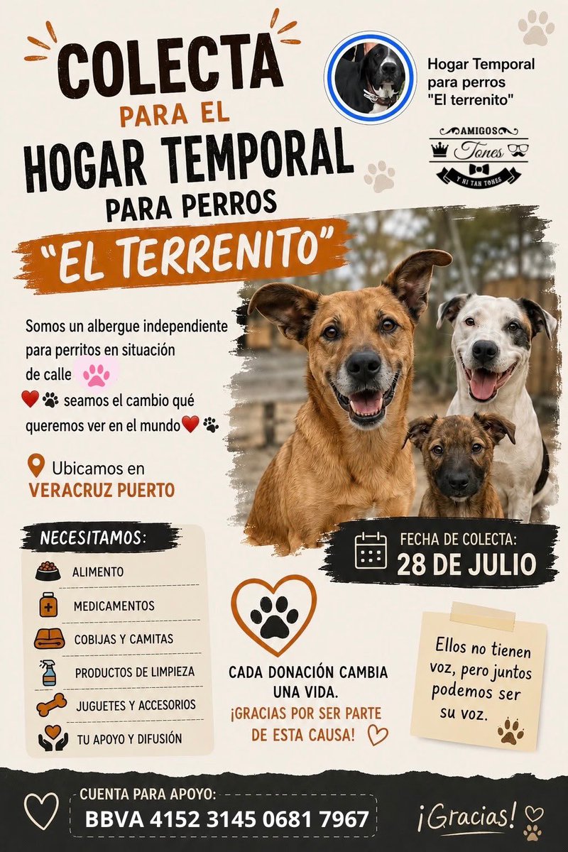 tan_tones's tweet photo. Tenemos causa especial este 28 de julio, en el puerto de Veracruz, ayudemos a estos peluditos donando a la siguiente cuenta 

BBVA 4152 3145 0681 7967
Adrián Moctezuma Casas

Es un representante del grupo, el cual estará entregando integro el dinero al personal del albergue. https://t.co/W3cEJ6BxtP
