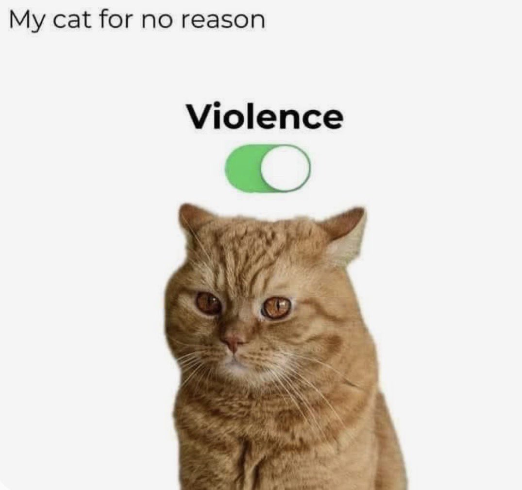 cattribunal's tweet photo. https://t.co/ThusOuqrqi