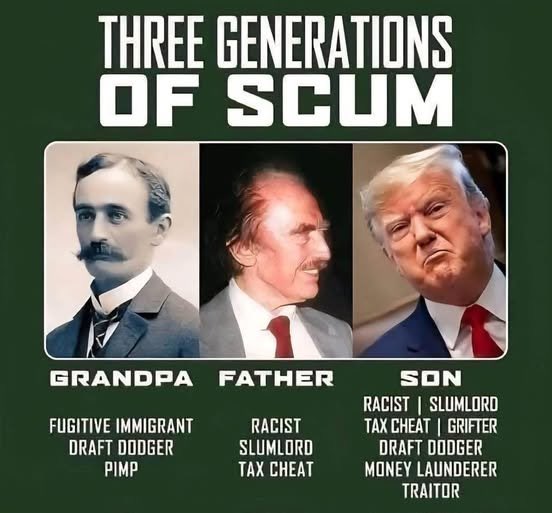 AlohaLokie's tweet photo. @GavinNewsom https://t.co/dYeIdadoBH