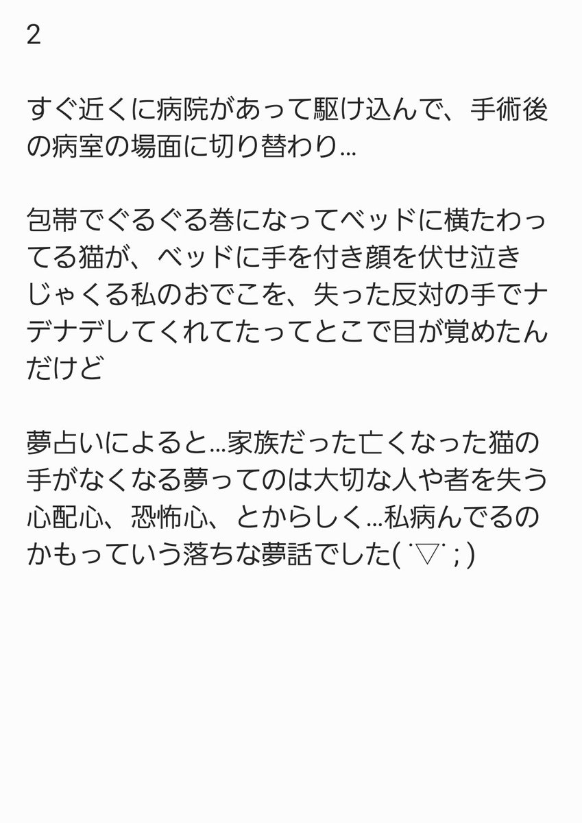 meromy2's tweet photo. 2年前に旅立った実家の猫が夢に出てきたんだけど…

※一部グロテスクな内容があるので苦手な方は見ないで下さい https://t.co/UBhHjJDn9C