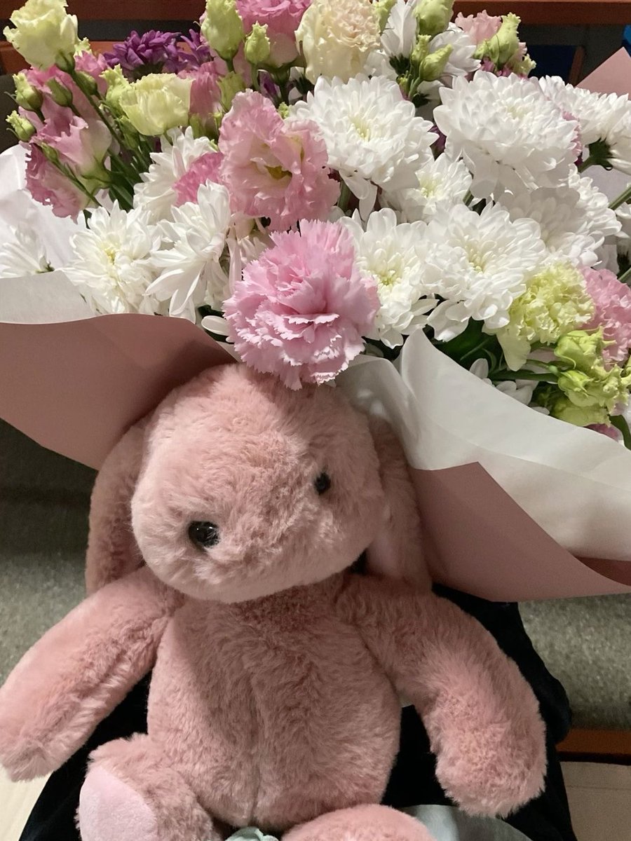 HORMIGOL34's tweet photo. ⠀

      special delivery for : @petalsskies  
      📝 —— espero te sientas mejor 
      y que esta amiguita te haga buena
      compañía , mi bonita . 💗 

⠀ https://t.co/NPp0ri9LgX