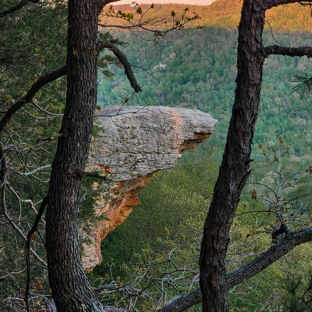 laketherapypics's tweet photo. This spot has been photographed a million times, but that didn’t make it any less incredible in person.
#WhitakerPoint #TrailLove #DogOnTheTrail https://t.co/YSShFOOGcS