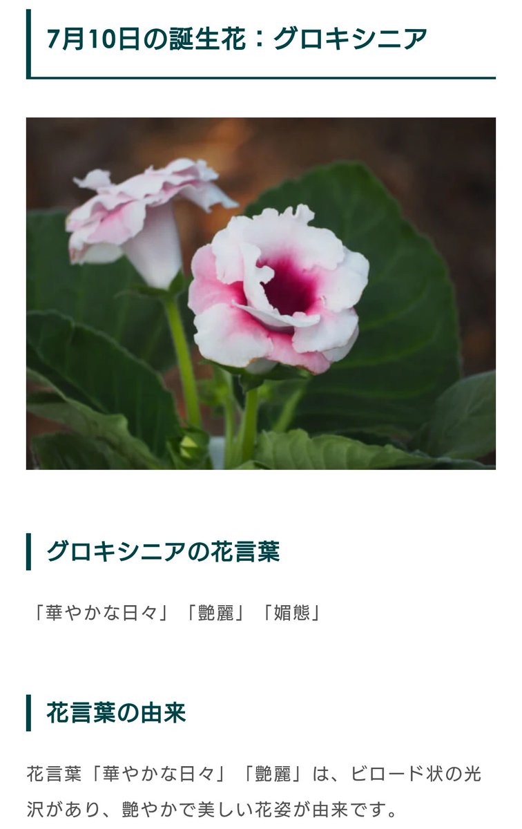 burode40309's tweet photo. おはようございます。
今日は大好きな人のお誕生日。
#あらそいごとがなくなりますように https://t.co/maqIOGm0rc