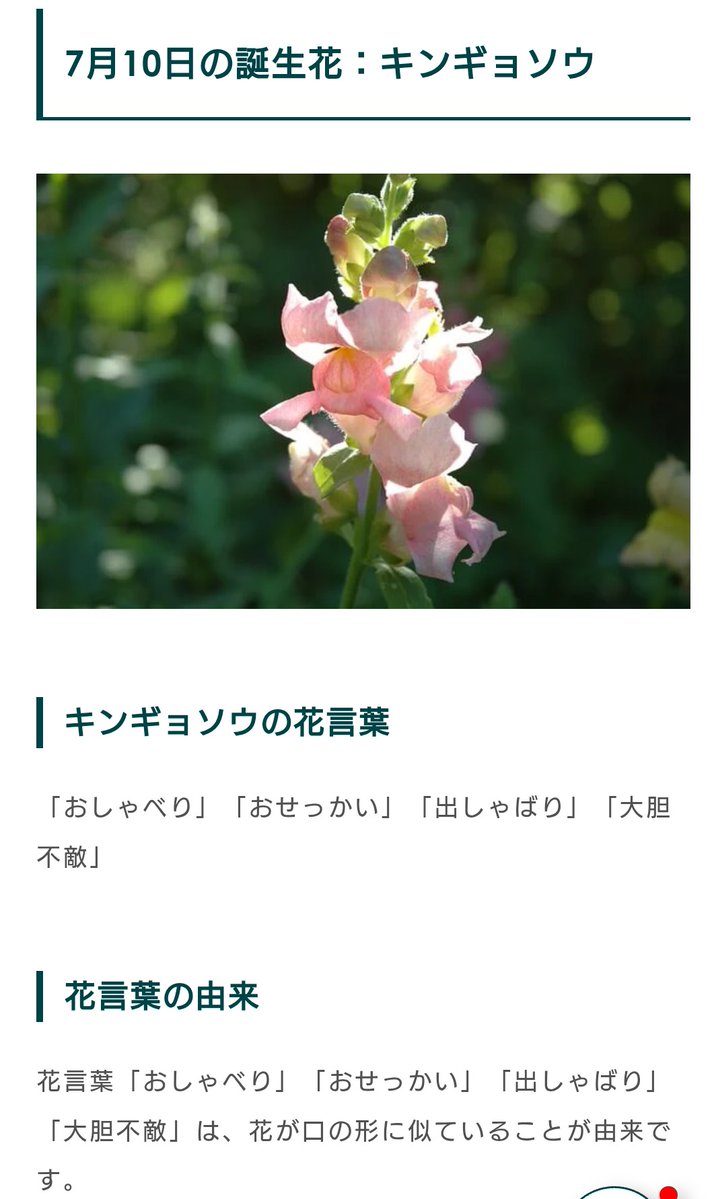 burode40309's tweet photo. おはようございます。
今日は大好きな人のお誕生日。
#あらそいごとがなくなりますように https://t.co/maqIOGm0rc