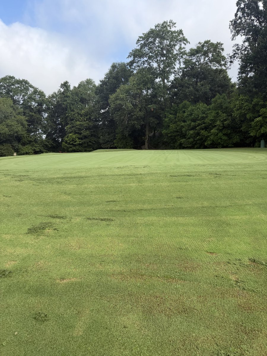 GolfweekRingler's tweet photo. With Lee McCoy departure to Florida Gulf Coast, Columbus St. is looking for a coach. Certainly one of the better D2 jobs. Maybe a D3 coach?
A few possibilities…
Grant Wallace at Kenyon
Justin Wyeth at Aurora
Mitch Fedorka at CMS
Jordan Cox at Mary Hardin-Baylor
Allen Smith at Lynchburg