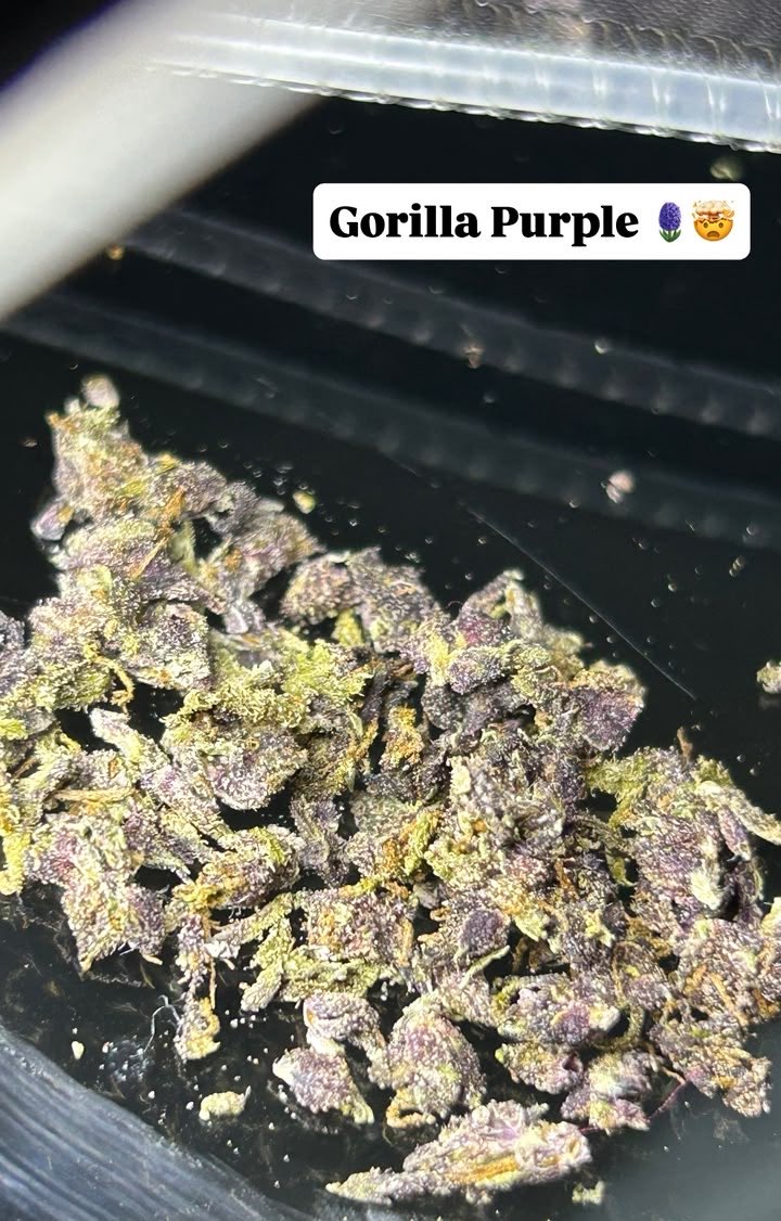 caligeneticas's tweet photo. melhor strain sem dúvidas… https://t.co/MXbXVrlP0B