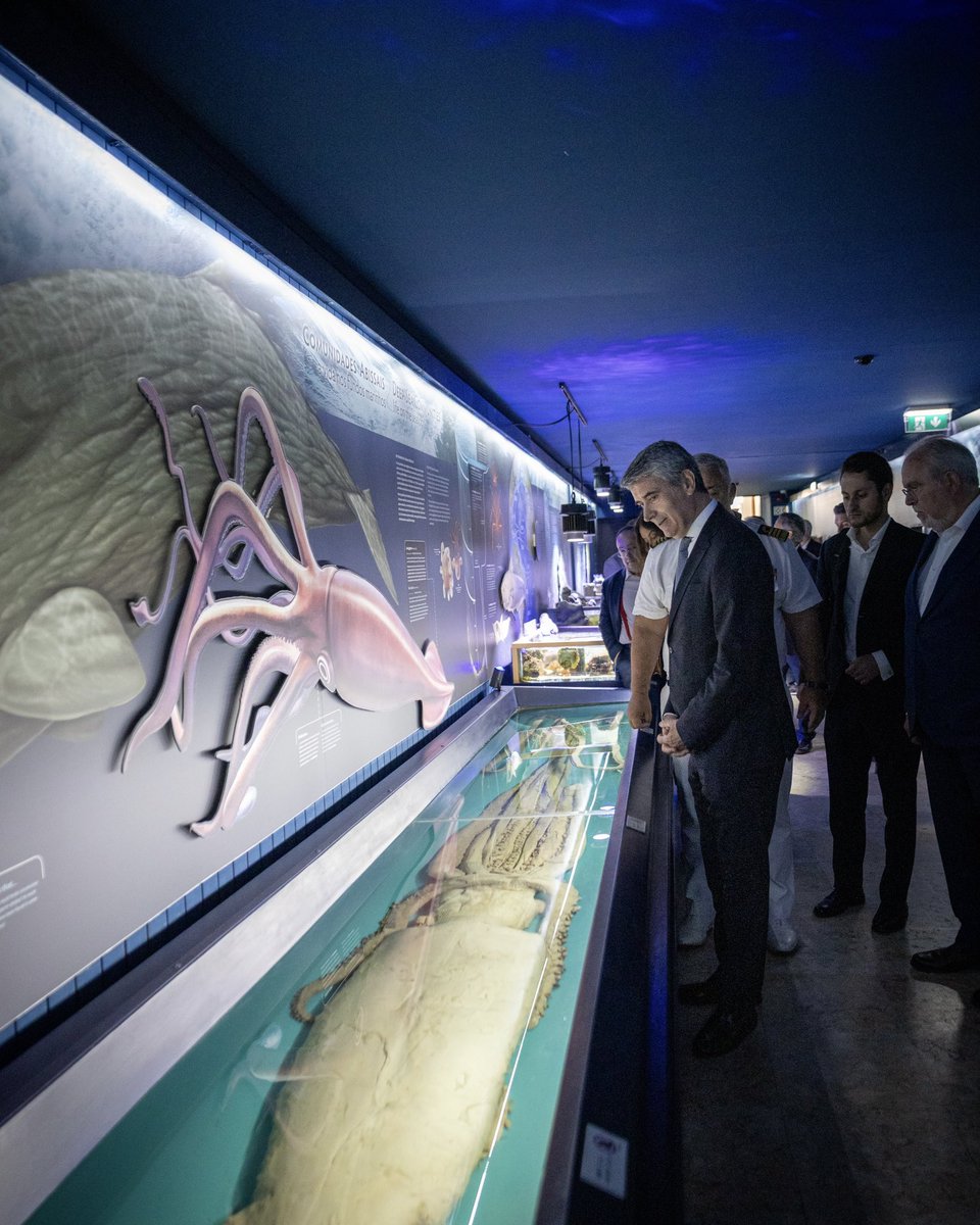 psocialista's tweet photo. Em visita ao Aquário Vasco da Gama demos por concluída a Rota pela Economia do Mar. 🌊 Este é, sem dúvida, um setor prioritário e estratégico que contribui fortemente para a criação de riqueza e garante a estabilidade de milhares de postos de trabalho em todo o território nacional. 📈

Após uma jornada que nos levou a percorrer todo o país, desde as regiões autónomas ao continente, reafirmamos uma visão clara e um compromisso inabalável: potenciar os recursos da economia azul é fundamental para o futuro de Portugal.

O foco está em valorizar este setor, impulsionando a inovação e o desenvolvimento económico de forma sustentável e estruturada. O nosso mar tem um potencial imenso, e é com ele que vamos construir um país mais forte e competitivo. ⚓

©️ Ricardo Vieira

#PartidoSocialista #PS #AlternativaConfiança