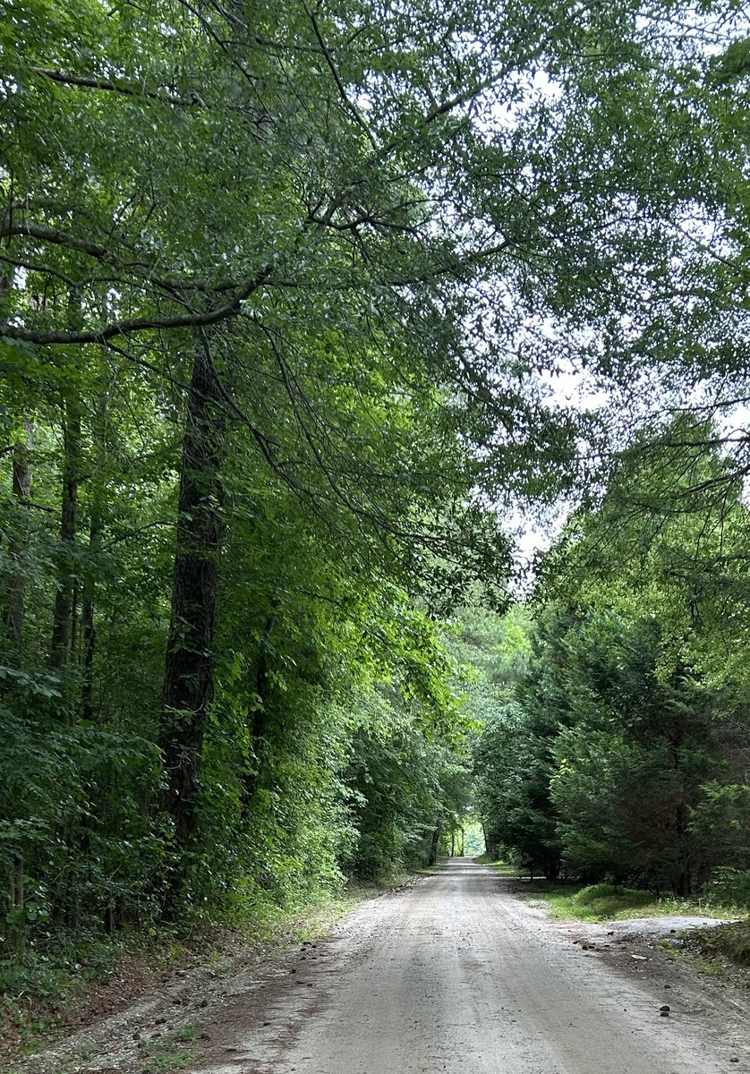 JeaneFahrlander's tweet photo. @DMiller52325459 Good evening🍃 https://t.co/c60Yp8mFwm