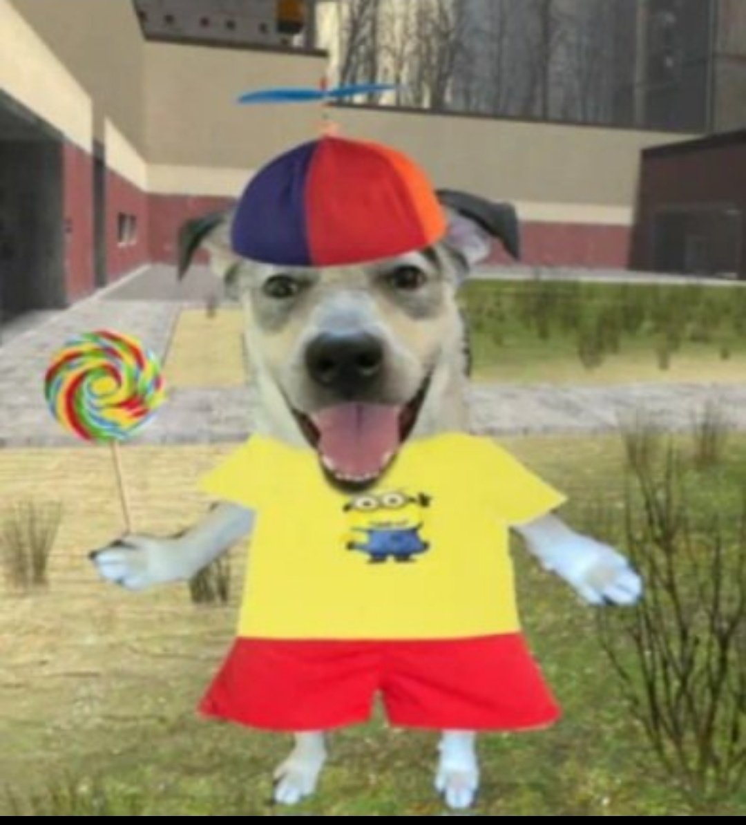 THE_MAGE3's tweet photo. @rodrigocoelhoc Coelho. Pirataria nas cachorras e sem choro. É isso mesmo. Não quer escutar o consumidor final? Pau no cu delas. https://t.co/WaXB8FvQ41