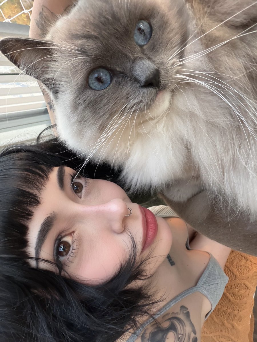 kyurenii's tweet photo. 😽😺 https://t.co/6tJvbdoF25