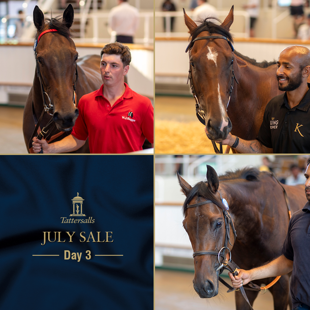 Tattersalls tweet media