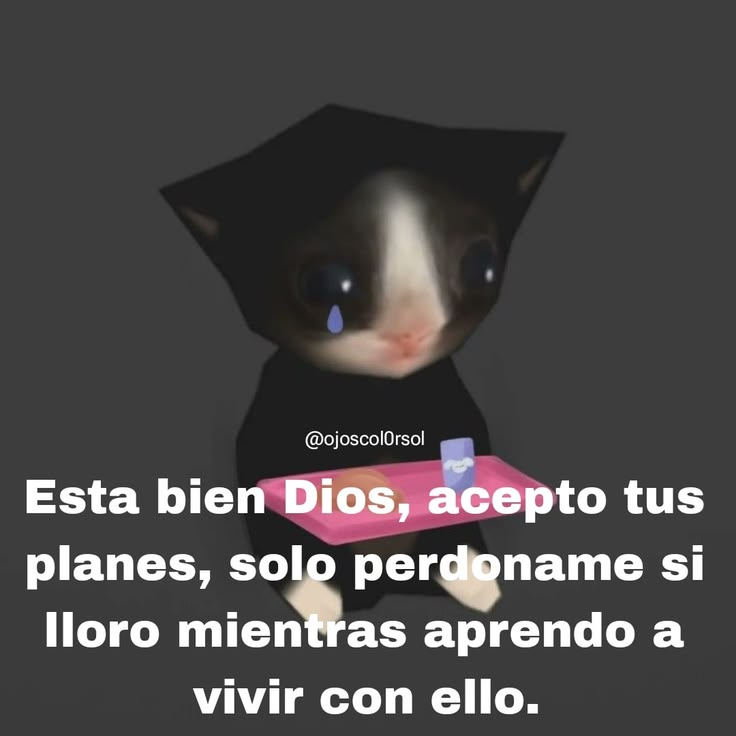 FraseSimple's tweet photo. https://t.co/aaFxRNhIXu
