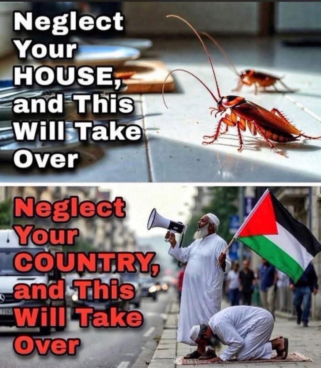 AprilMaxineT's tweet photo. Islam is the worst colonizing predator cult in history and it’s only 1400 years old.. Sharia only 500 years… it is NOT a religion… it’s a predator cult! How is the Jizya not EXTORTION!!! they are just another criminal mafia!!! Unorganized Crime!!!! Predator cult and they are fraudulently using religion for tax free networks of racketeering!!!