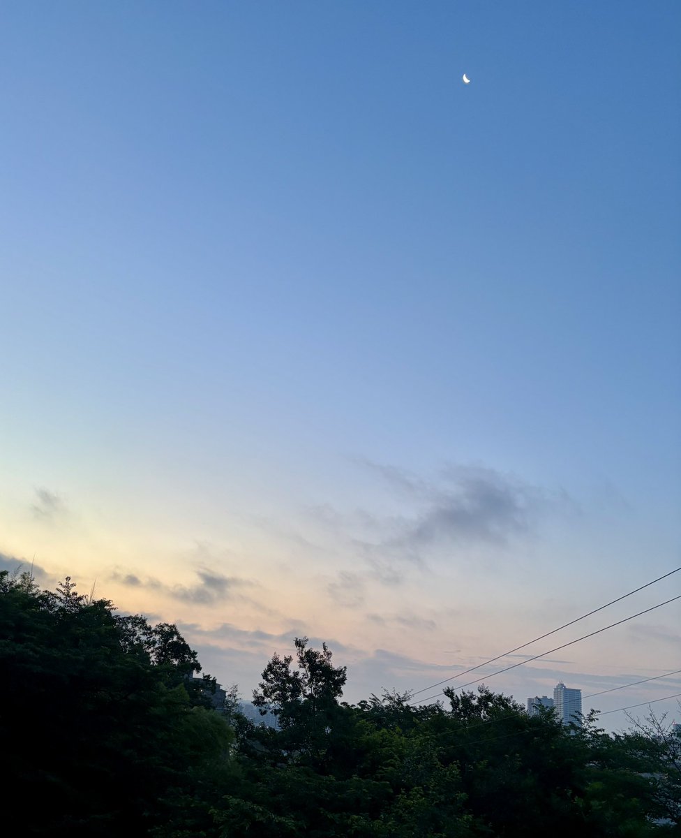 nan_ehonsuki's tweet photo. おはようございます😊

新しい朝
時を超えて幸せが届く

あたりまえに感謝
今ある奇跡に感謝

今日も
皆様が喜びの一日を
過ごされますように✨

今朝の空と昨日の空も

#羽生クラスタ空部 https://t.co/HWK85MvCuo