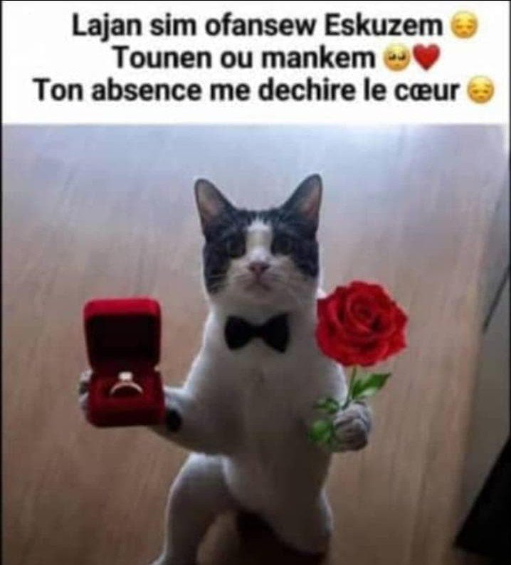 SlapBest's tweet photo. 💔💰 Aksepte padon mwen an stp https://t.co/e37wsKaIaj