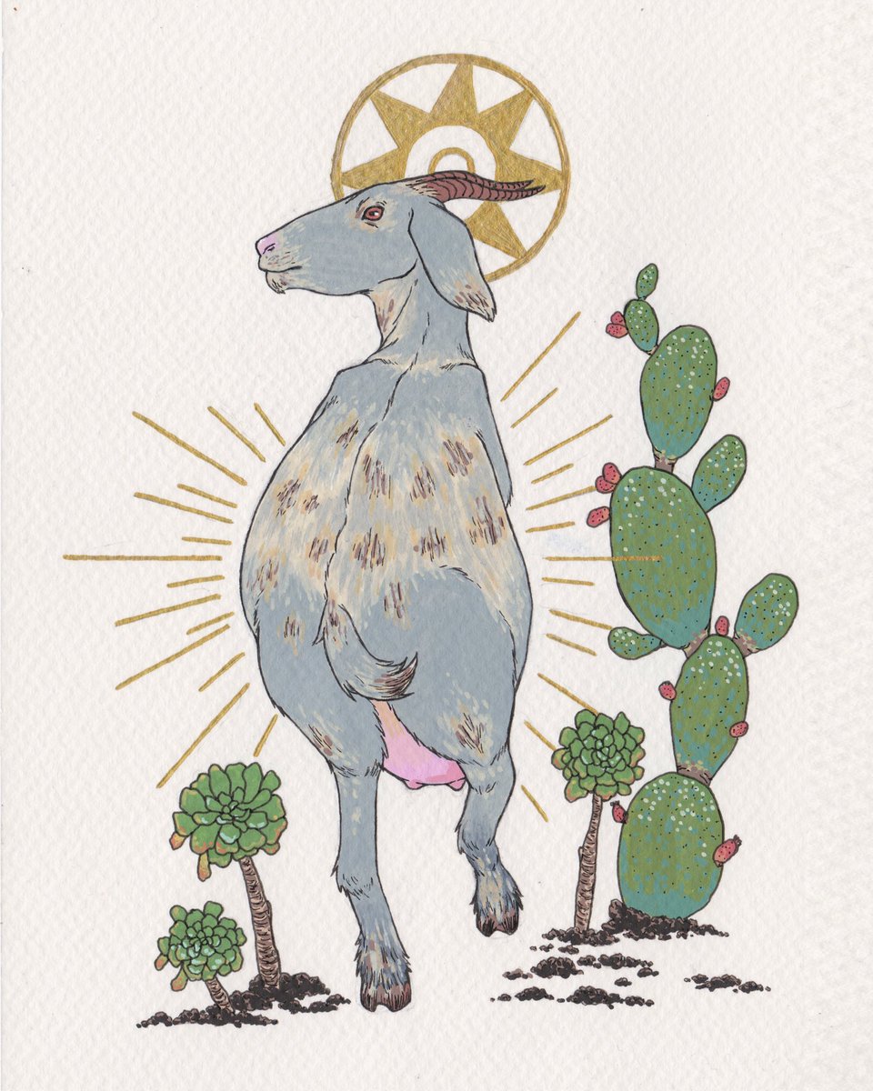 kunedesign's tweet photo. Surrounded by prickly pear cactus, verodes, and picón, the queens of the ravine press on. 
.
.
.
#practice #illustration #canaryislands #goat #acrylicmarkers https://t.co/NMQJwCzSof