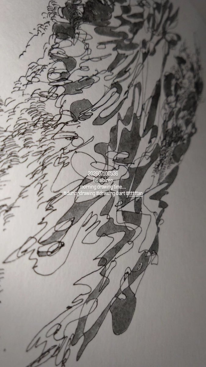 202607100536 B6 albireo morning drawing time #duringdrawing