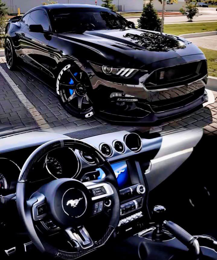 DriveHubyp7's tweet photo. F0rd Mustang 🐎 https://t.co/pdHqezIOk4