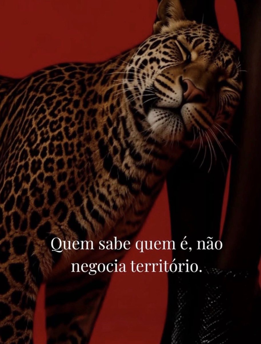 agsurtos's tweet photo. não mesmo. https://t.co/GAJ8L2r5xB