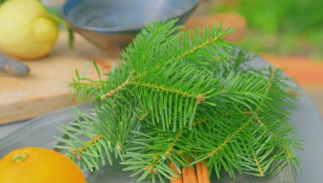 detivkn's tweet photo. Woke up to the smell of pine and sunlight filtering through tent flaps—this is the kind of slow magic only camping brings https://t.co/NeGm7IQg96