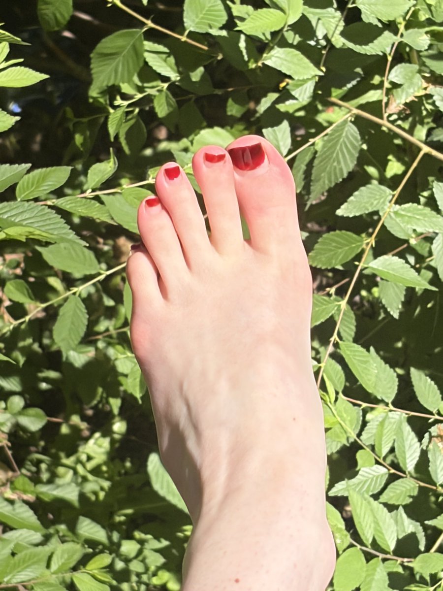 more4maple's tweet photo. soaking up sunshine ☀️🥰 https://t.co/wdZJUDlNSN