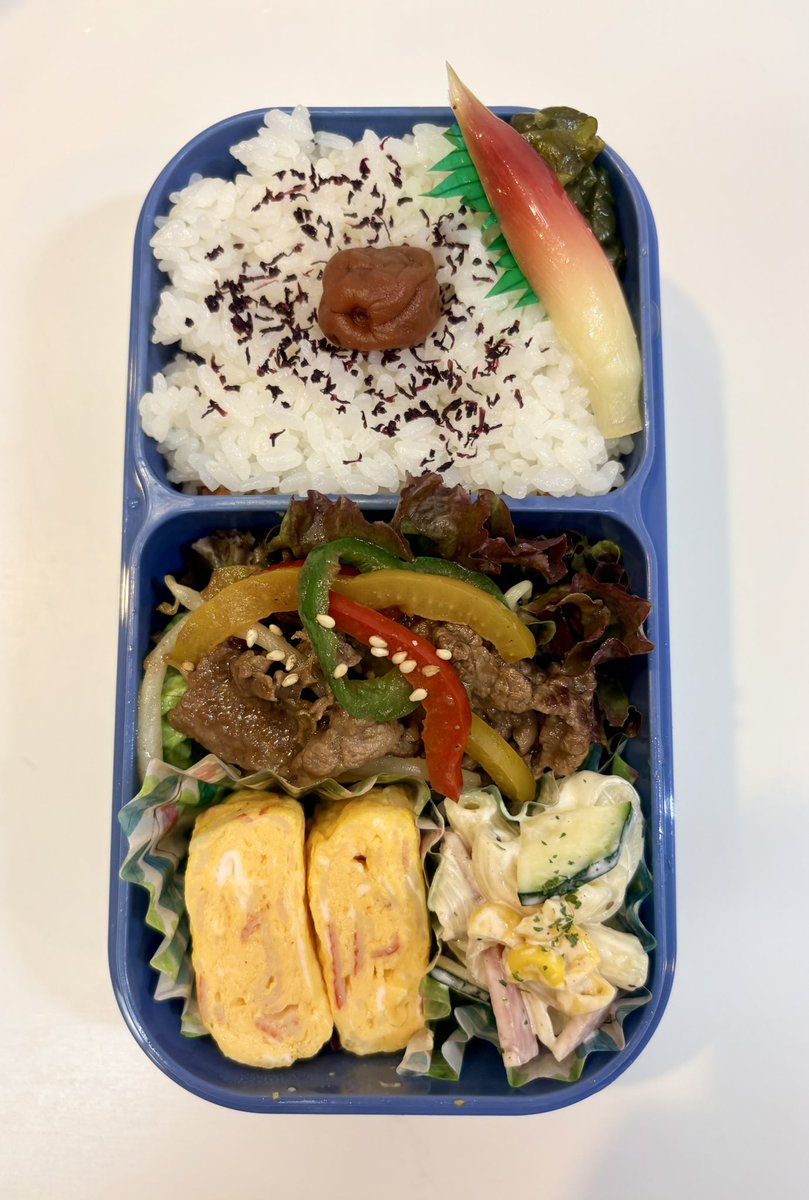 iRrw6jXOSuMPcnV's tweet photo. おはようございます☀️
本日の主人へのお弁当🍱♬*

 #お弁当  #お弁当作り  #お弁当記録 
 #お弁当作り楽しもう部 https://t.co/kWMaBDOvU6