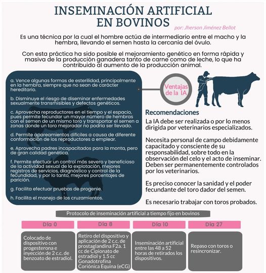 PAftosa's tweet photo. Inseminación artificial en bovinos. #ConstruyendoGanaderia @fedegan @jflafaurie @PLguachucalFNG https://t.co/AlNdwKk6OW
