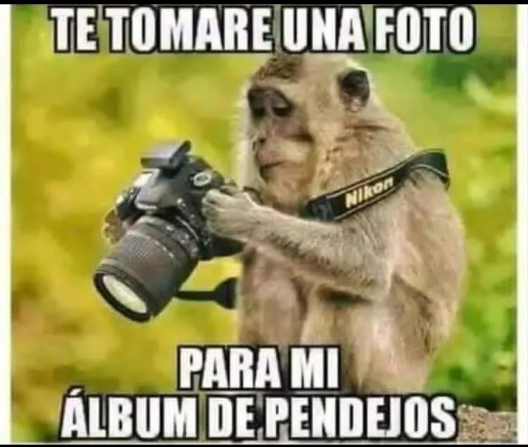 Fabio Valencia tweet media