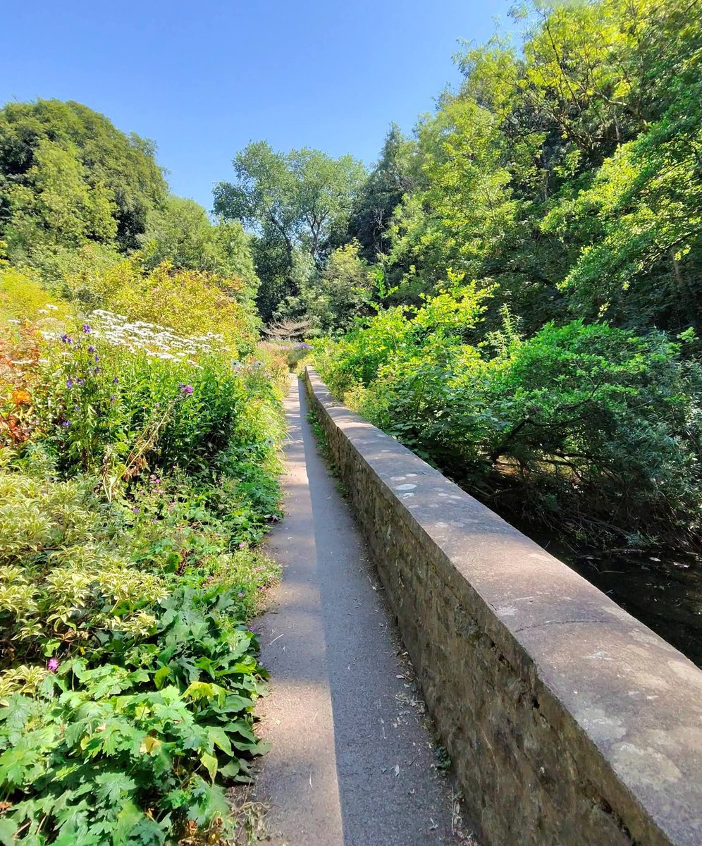 TW_Bristol's tweet photo. @snuffmills looking gorgeous earlier in the summer sunshine today https://t.co/pXcCkbOTn0