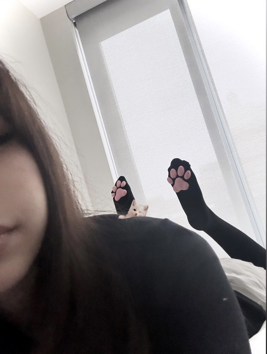 hypohedonia's tweet photo. meow ^u^ https://t.co/OFgCZT8shZ