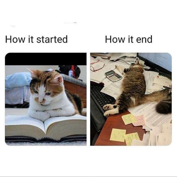 chloeainworth's tweet photo. I only meant to read one more chapter.
#booktok #bookwormproblems #readingcommunity #readersofinstagram https://t.co/DiHN44qSaT