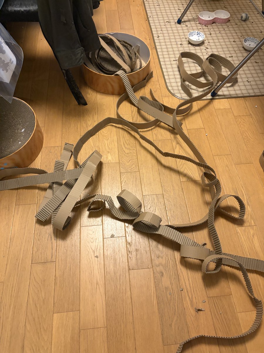 maimon02's tweet photo. 猫壱のバリバリボウルが！！

朝起きたら
バランバランボウルに変化した😂
犯ニャンは誰かわからん…

きっと楽しく遊んだに違いない…
まだ二週間しか使ってないのに🥹 https://t.co/vf1Wzh0ynQ
