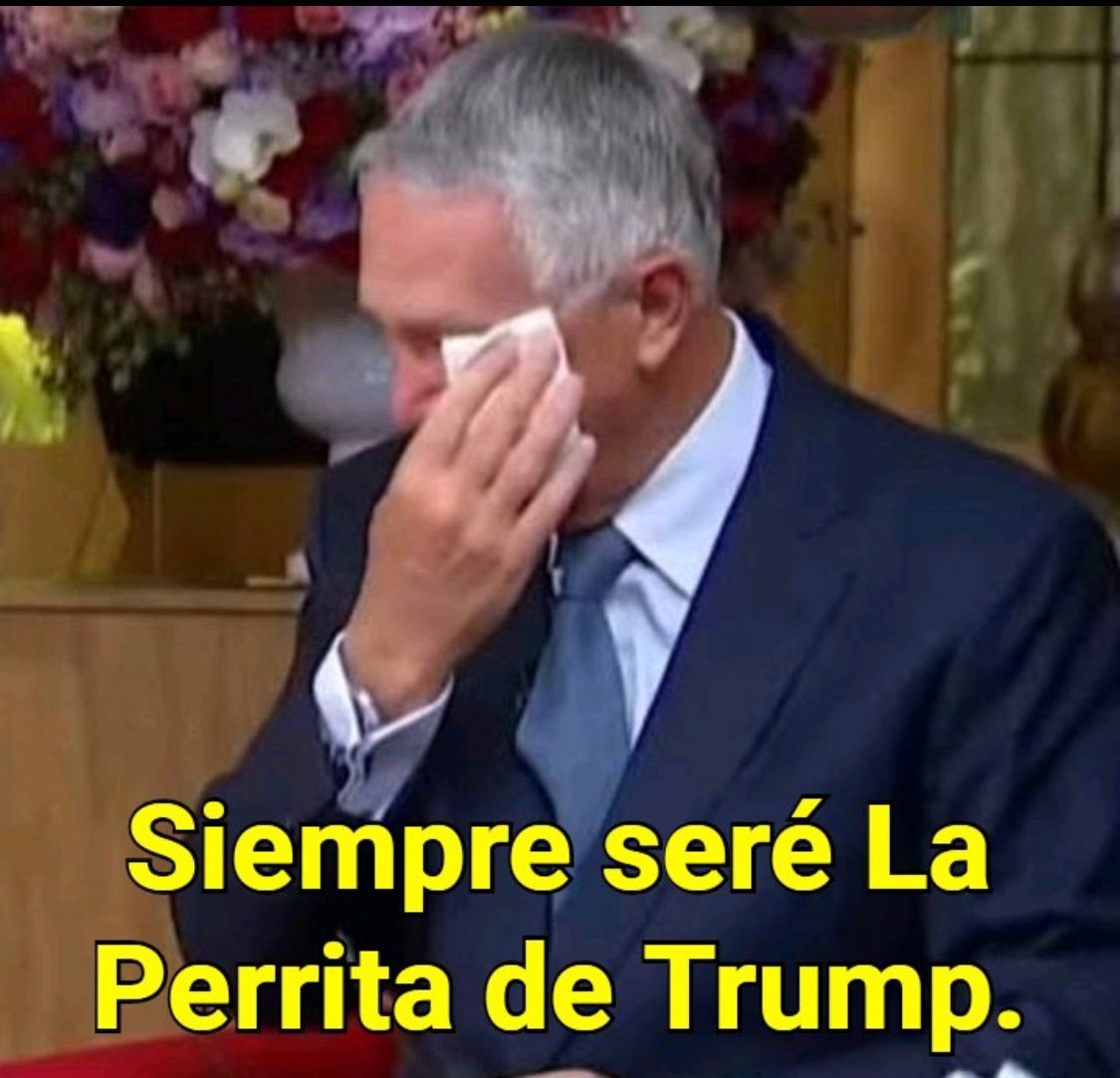 21jmcc's tweet photo. @SinLinea_Mx @VentaneandoUno @tiopedritosola Hijos de perra como #LaPerritaDeTrump https://t.co/rsdthrhTjv