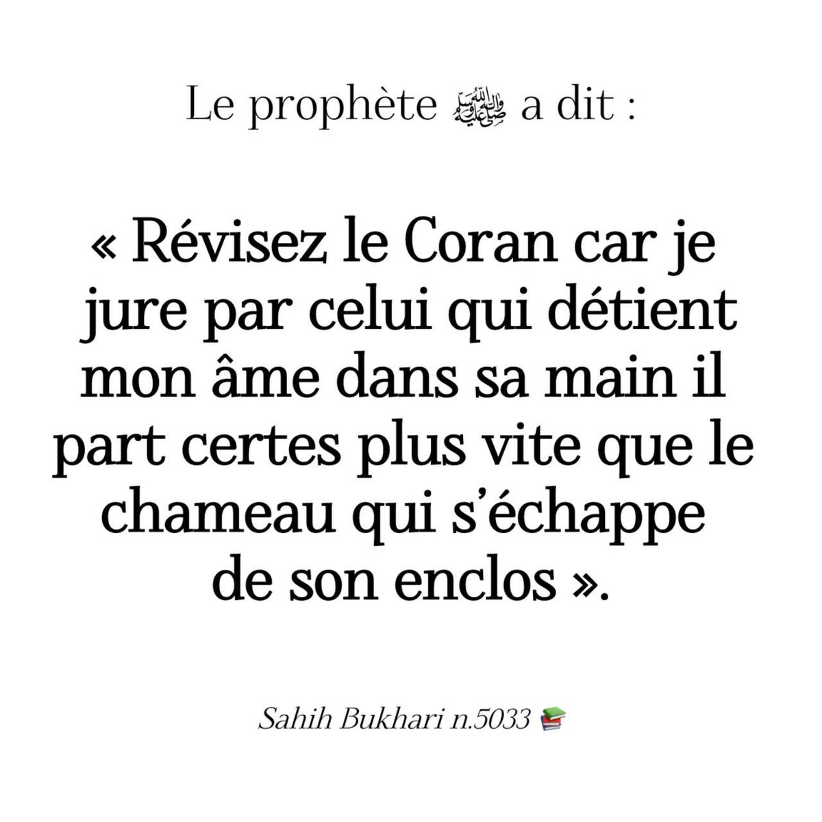 SalafiyaPartage's tweet photo. Le prophète ﷺ a dit :

« Révisez le Coran car je jure par celui qui détient mon âme dans sa main il part certes plus vite que le chameau qui s'échappe de son enclos ».

Sahih Bukhari n.5033 📚 https://t.co/nXPFVxKkhE