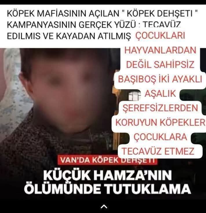 MeralKoroglu's tweet photo. 😭😭😭😭🙏🙏 https://t.co/d1j9mJe7PT