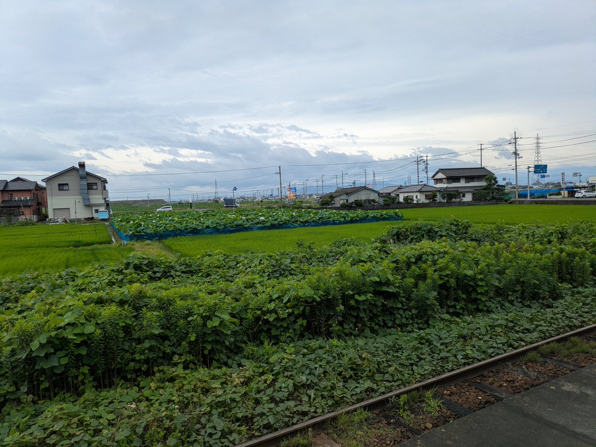 geky3zen's tweet photo. 立道駅周辺。住宅地と田園地帯が入り混じるのどかな場所でした。商業施設とかは全く見当たりませんでした。駅の南側を通る道路の交通量が多かったです。近くに徳島空港があるためか飛行機が低空を着陸していくのが見えました。 https://t.co/xJznWrewtx