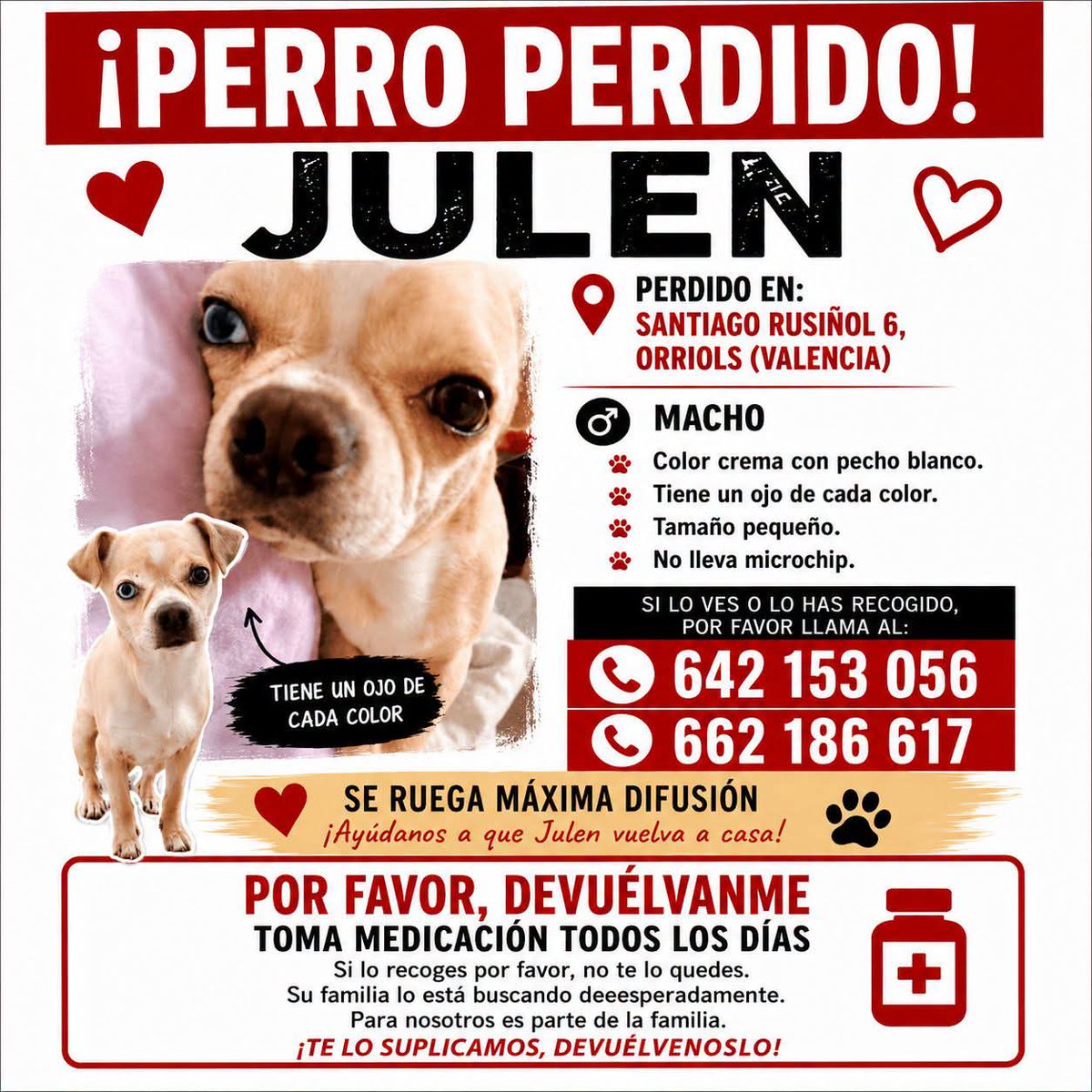 AsociacionADAT's tweet photo. #SE_BUSCA. #PERDIDO/#DESAPARECIDO/#EXTRAVIADO, POSIBLEMENTE #ROBADO, EN #VALENCIA, CALLE SANTIAGO RUSIÑOL, BARRIO ORRIOLS.
MACHO DE COLOR CREMA, CON EL PECHO BLANCO Y CON OJOS DE COLORES DISTINTOS.
NECESITA MEDICACIÓN DIARIA.

Si tienes cualquier información acerca de su... https://t.co/BHCvqxGTdM