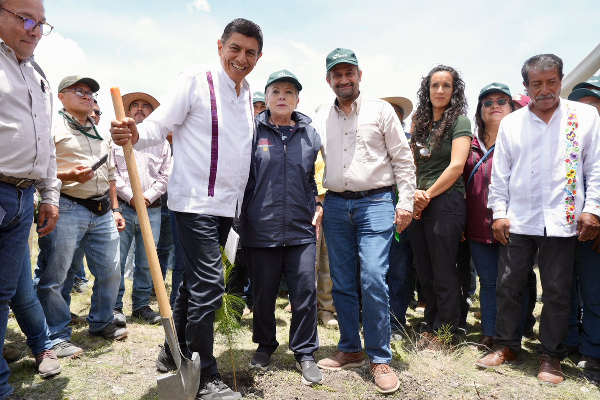 salomonj's tweet photo. Desde #Tepelmeme Villa de Morelos participamos en la Reforestación Nacional 2026, en el marco del 25.º aniversario de la @CONAFOR. 🌱

Junto a la titular de @SEMARNAT_mx, @aliciabarcena, nos sumamos al Programa Nacional de Restauración Ambiental, dando continuidad a las jornadas de reforestación que ya muestran resultados: cientos de arbolitos creciendo y dando vida a nuestro estado.

Sigamos trabajando juntas y juntos para cuidar nuestro entorno, proteger nuestros recursos naturales y construir un mejor #Oaxaca. 🌿
